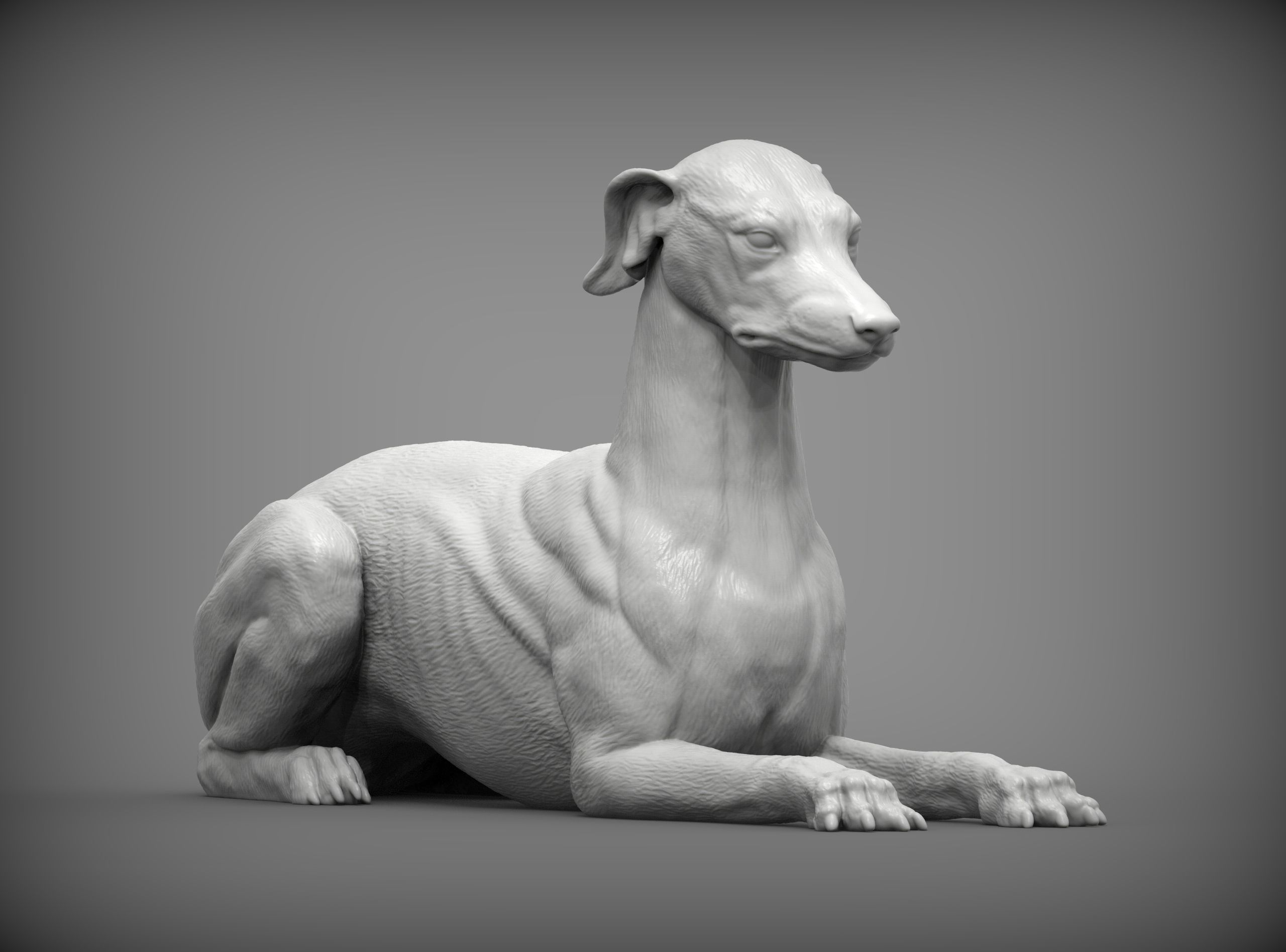 greyhound lies 3D print model_3