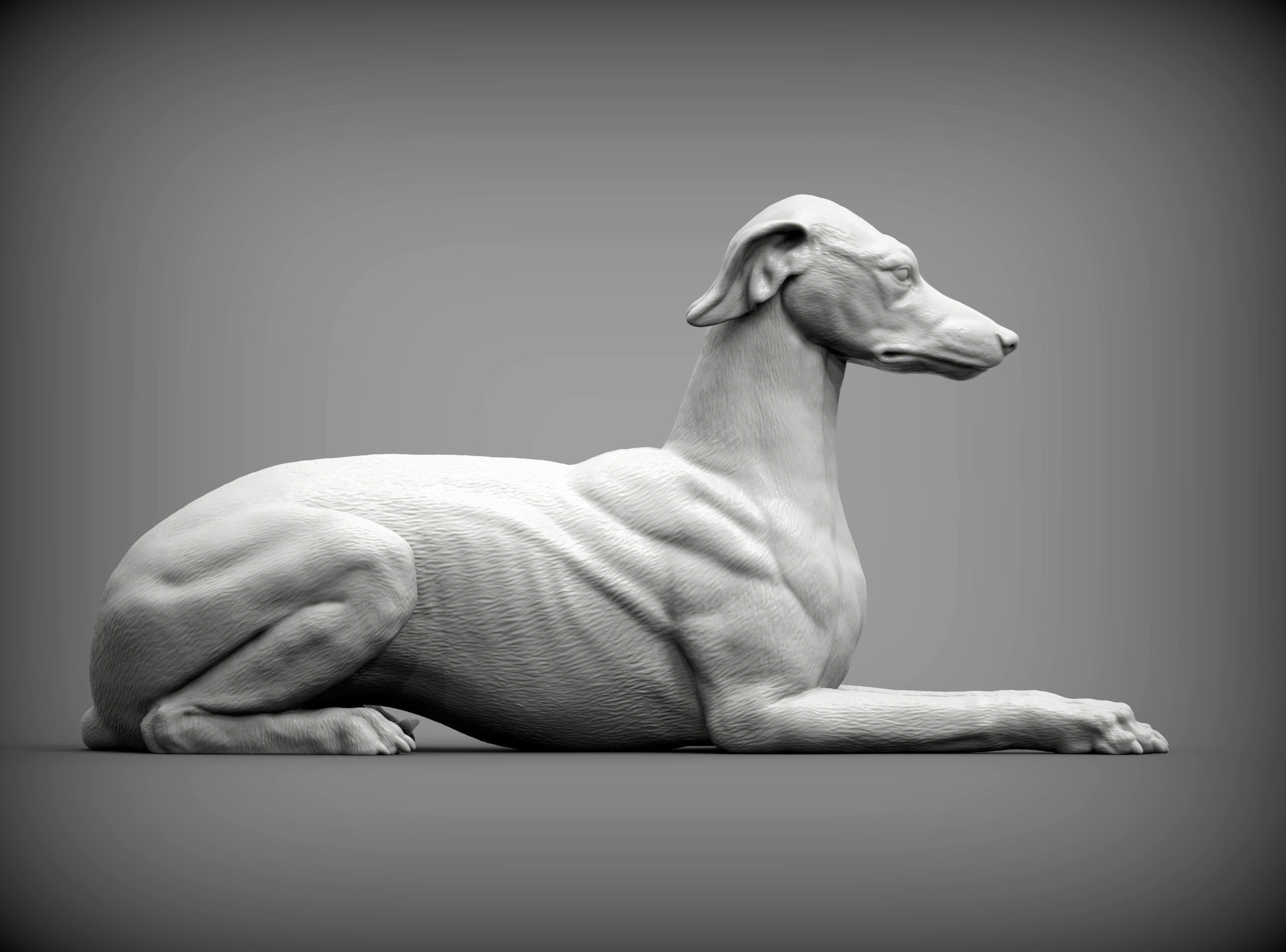 greyhound lies 3D print model_4