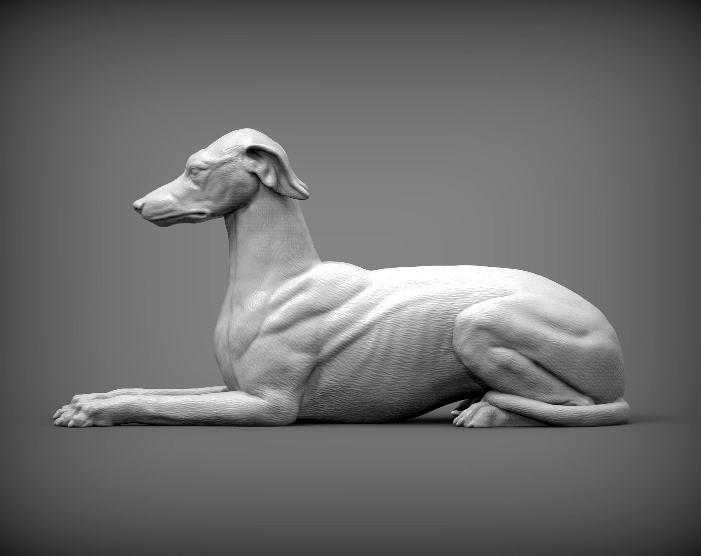 greyhound lies 3D print model_2