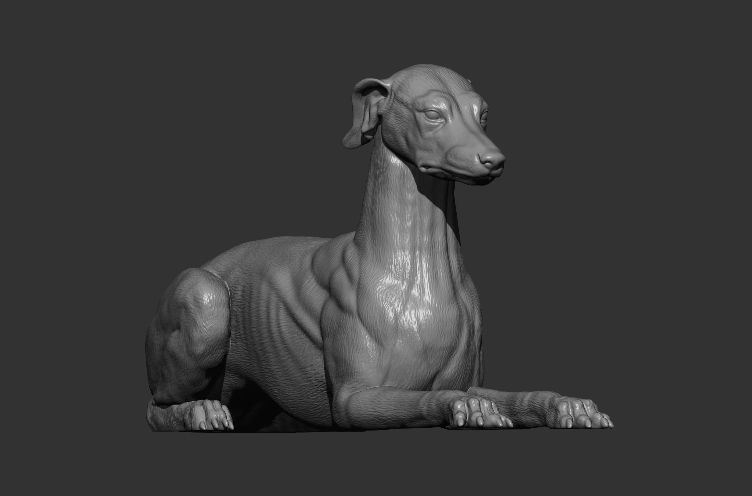 greyhound lies 3D print model_7