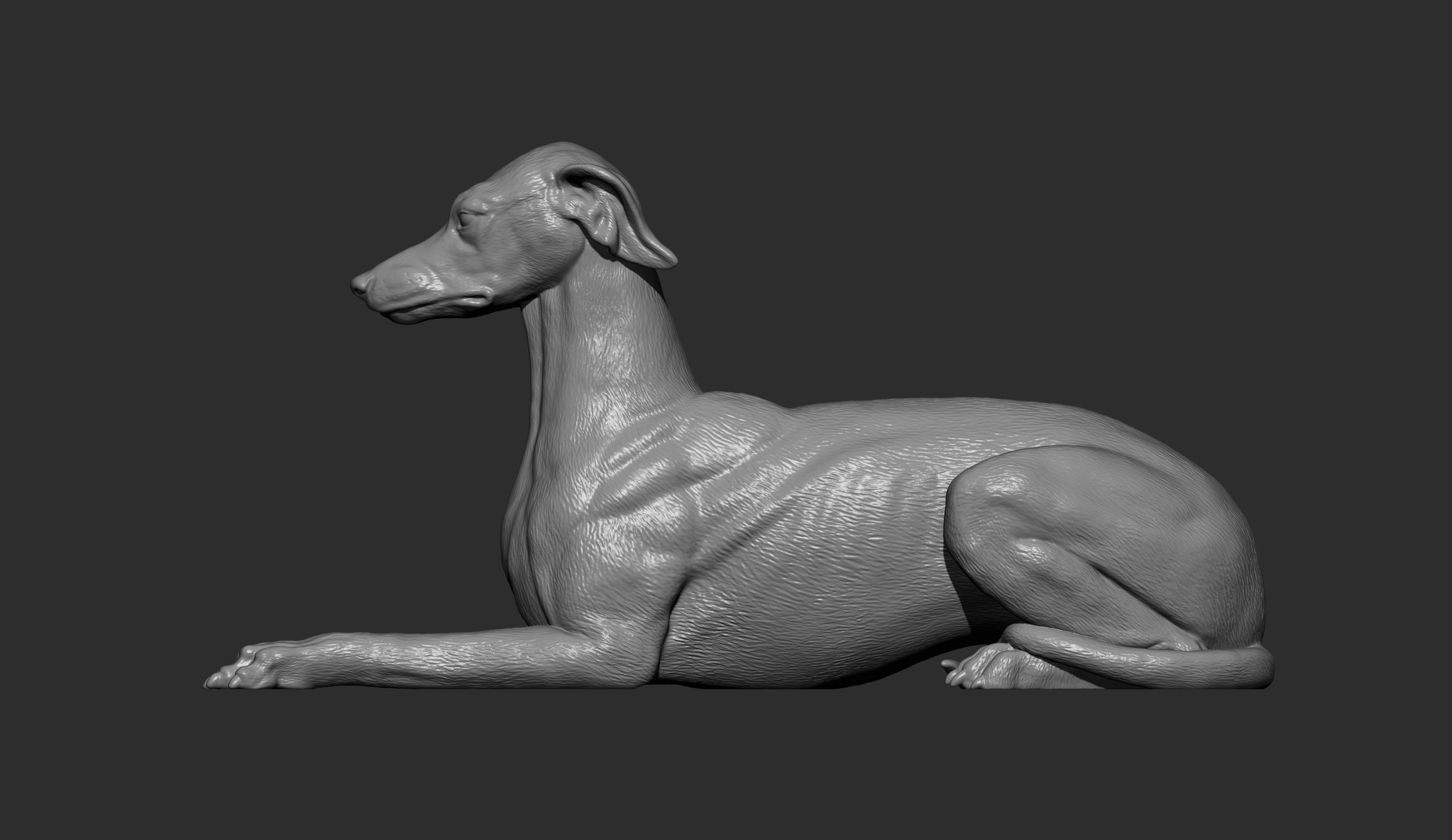 greyhound lies 3D print model_8