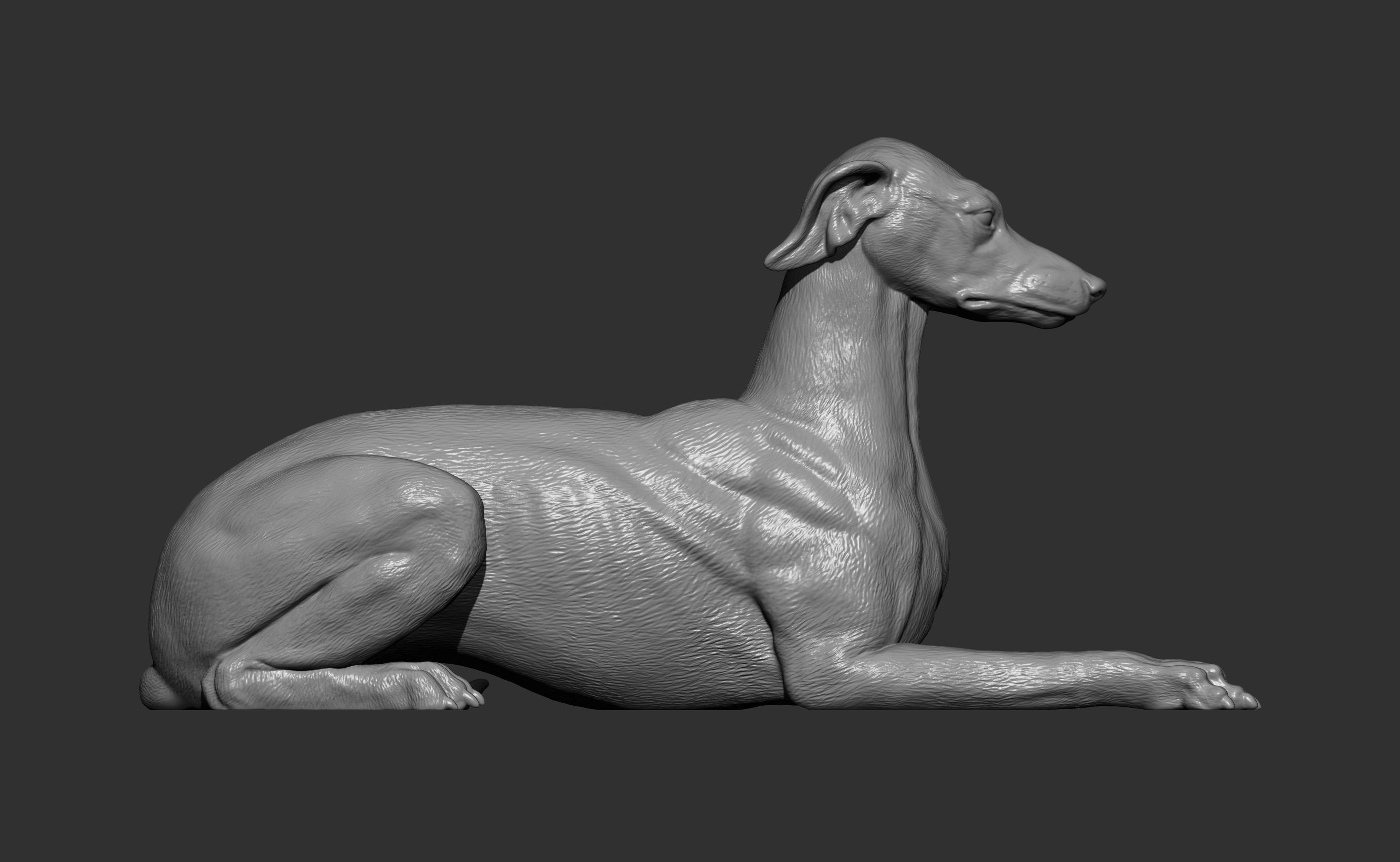 greyhound lies 3D print model_6