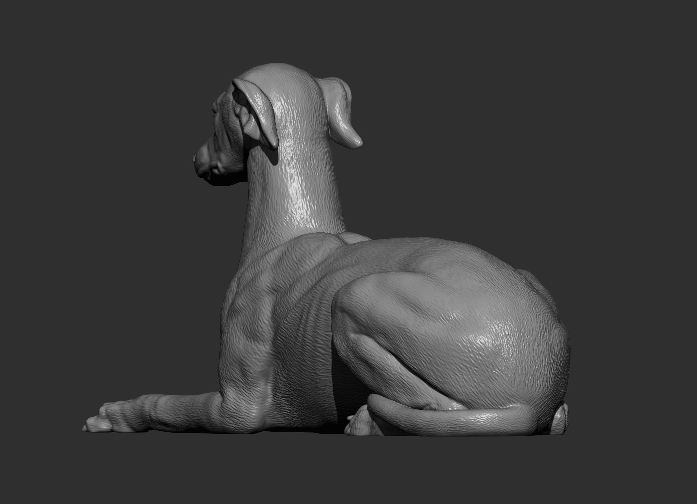 greyhound lies 3D print model_9