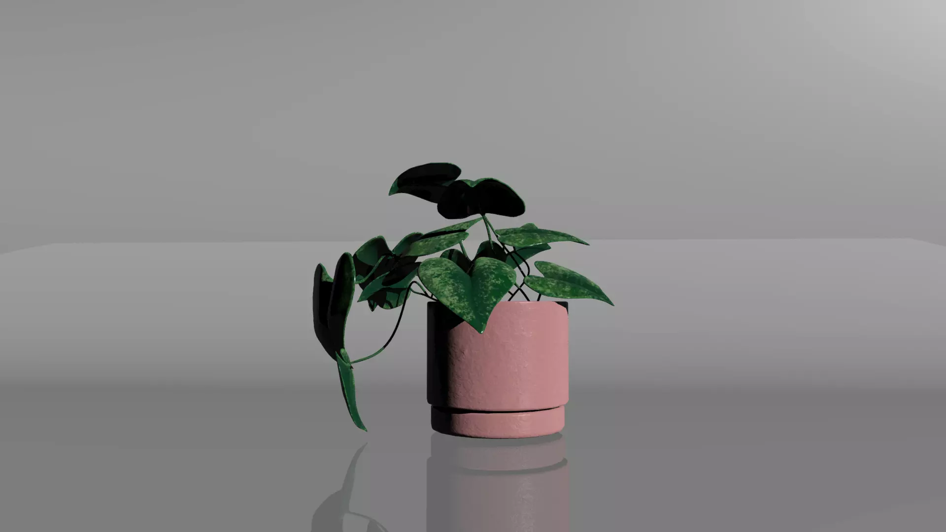 Pothos 3D model_0