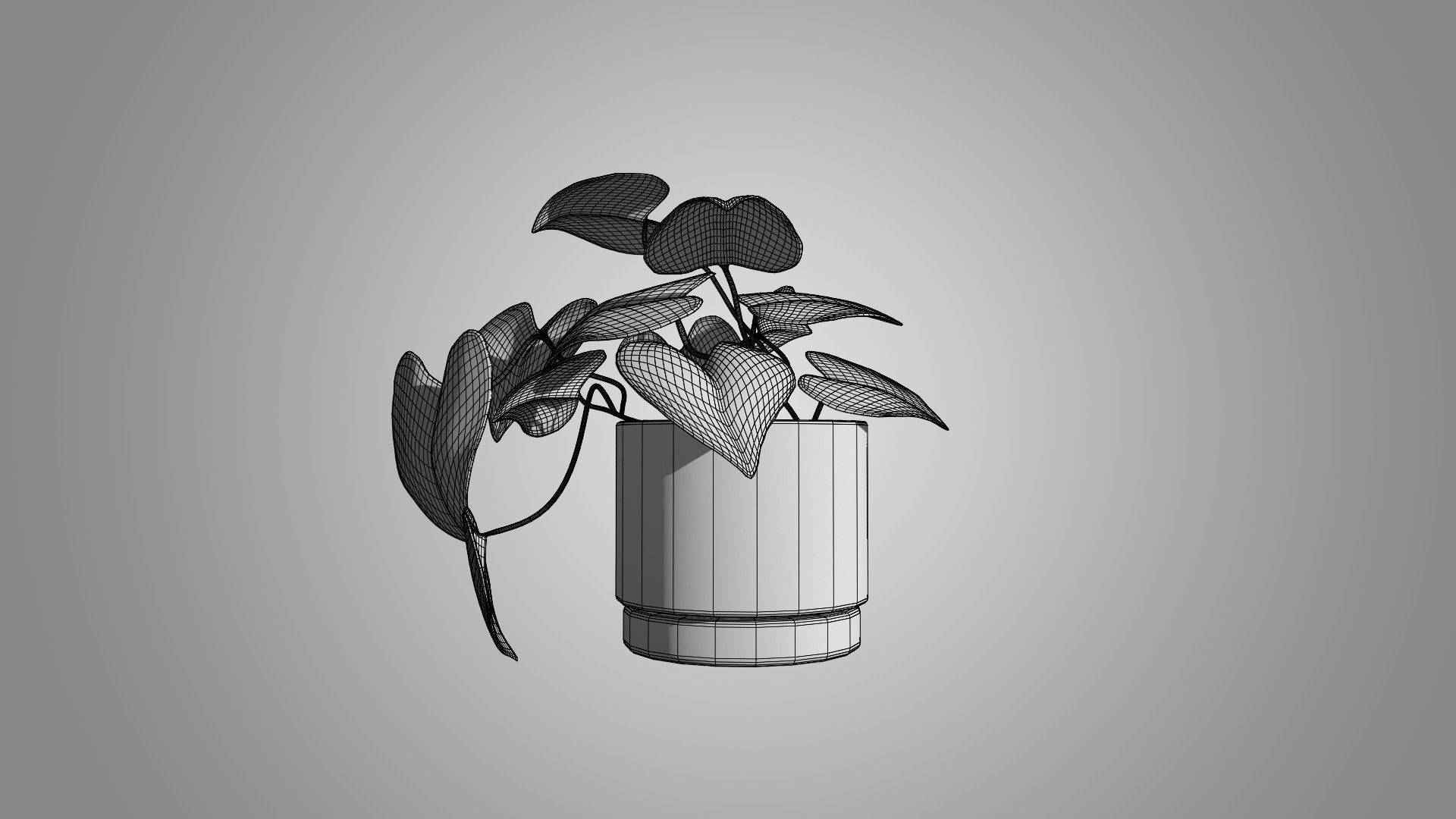 Pothos 3D model_6
