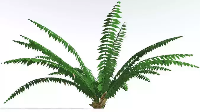 EVERYPlant Basket Fern LowPoly 1 --14 Models-- Low-poly 3D model
