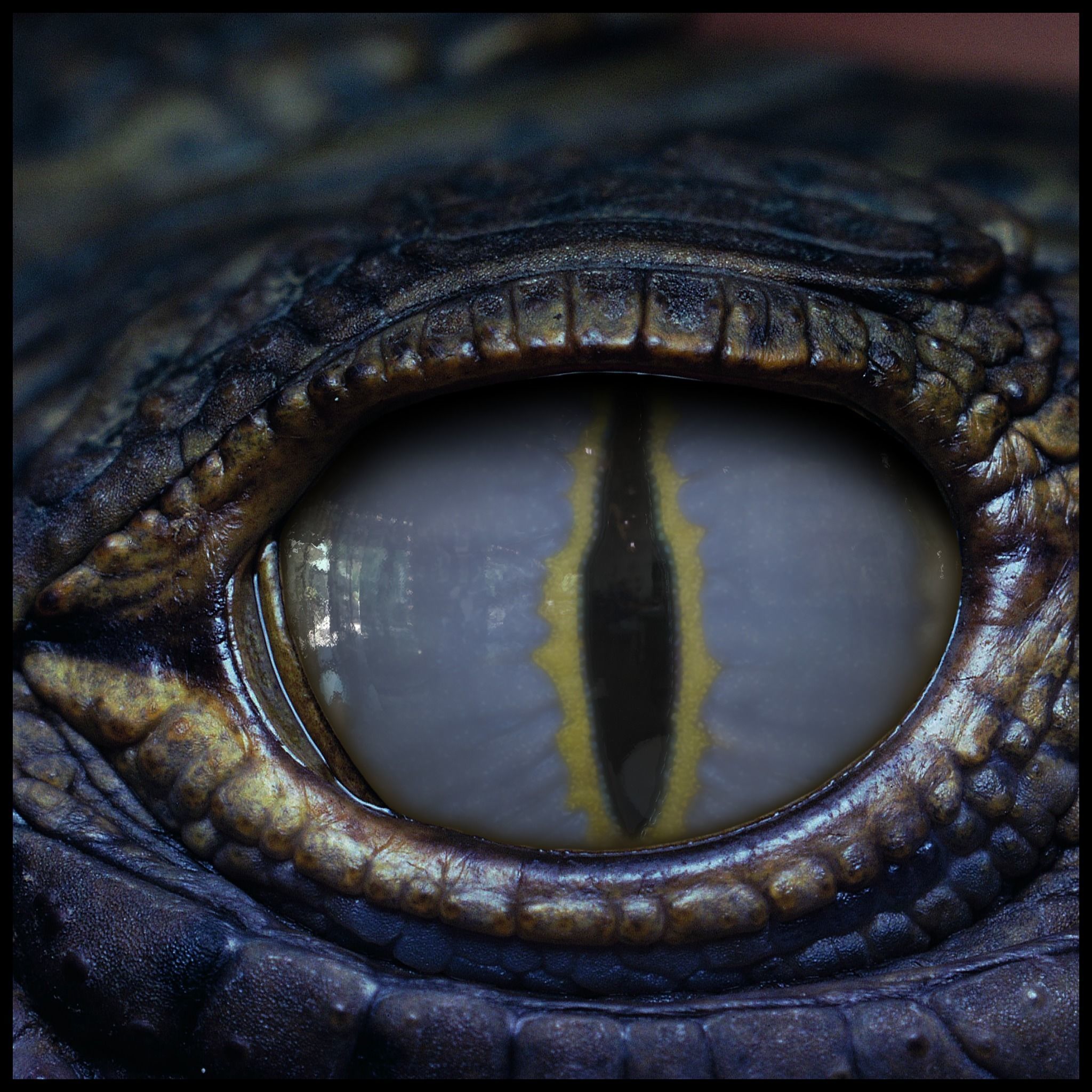 Creature Eyes Vol 10 - PBR Texture_1