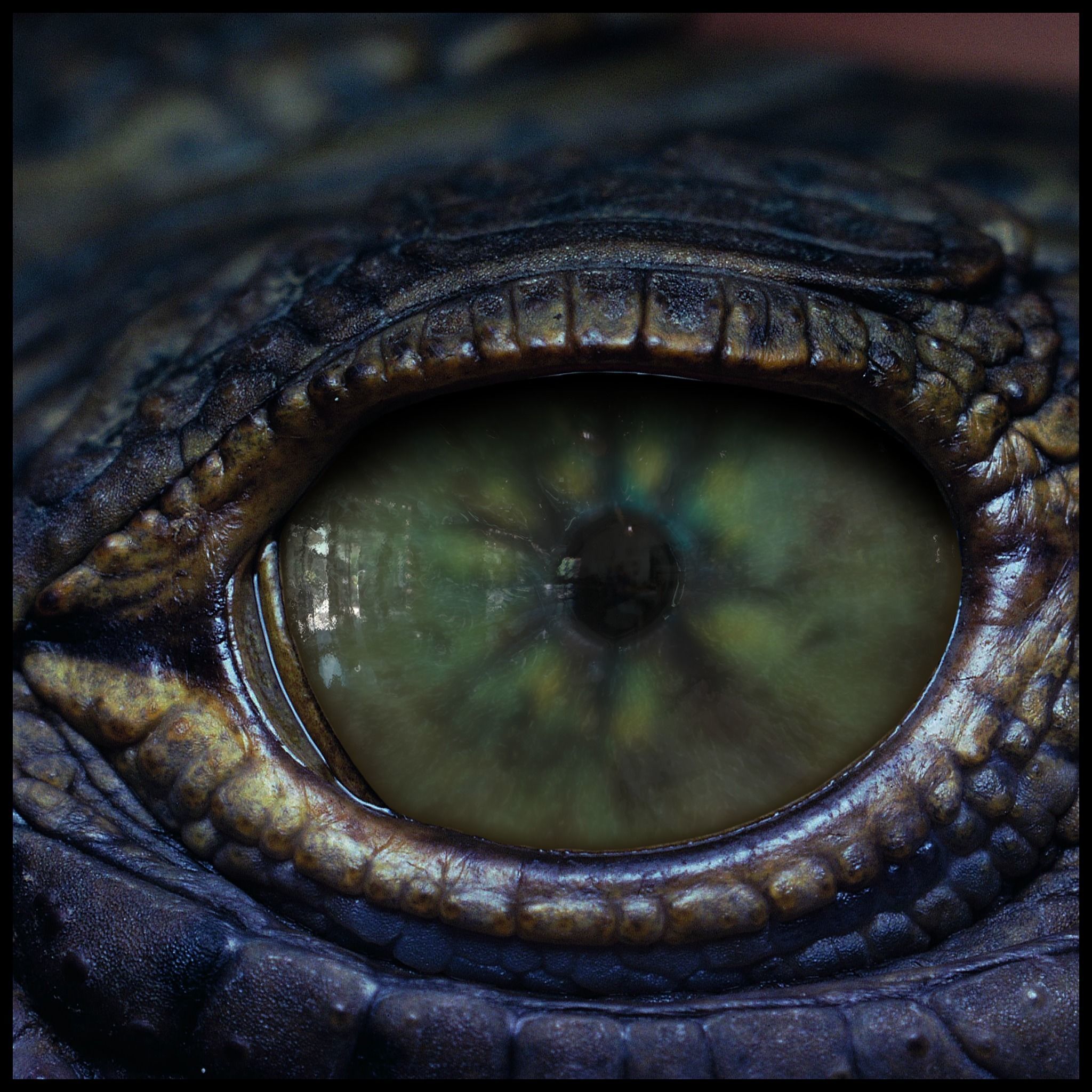 Creature Eyes Vol 10 - PBR Texture_4