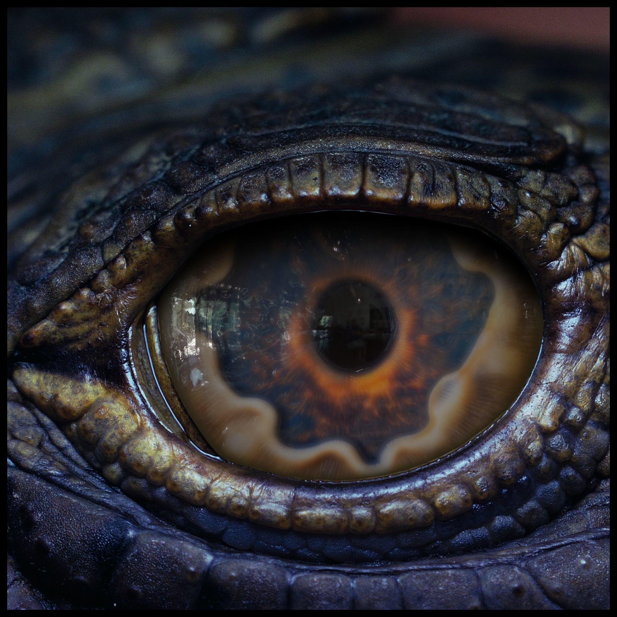 Creature Eyes Vol 10 - PBR Texture_8