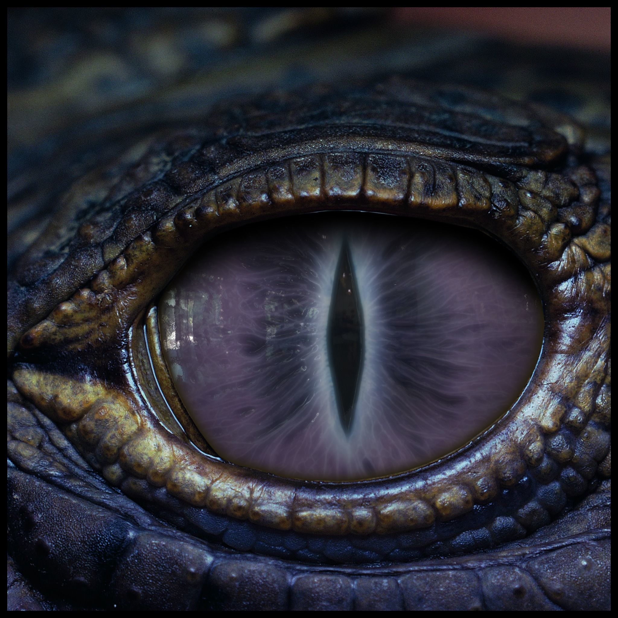 Creature Eyes Vol 10 - PBR Texture_15