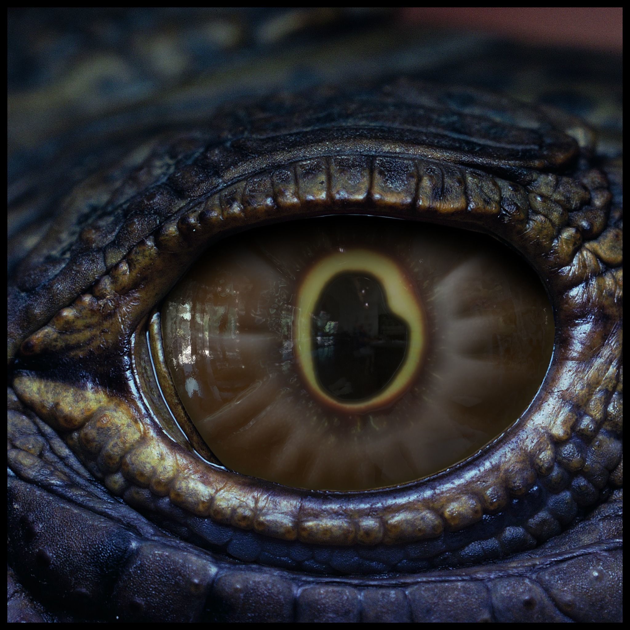 Creature Eyes Vol 10 - PBR Texture_2