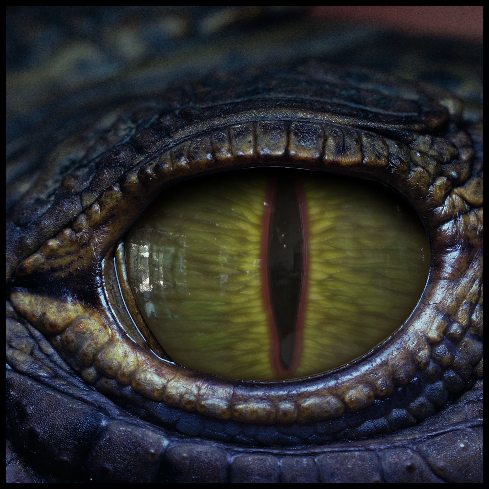 Creature Eyes Vol 10 - PBR Texture_7