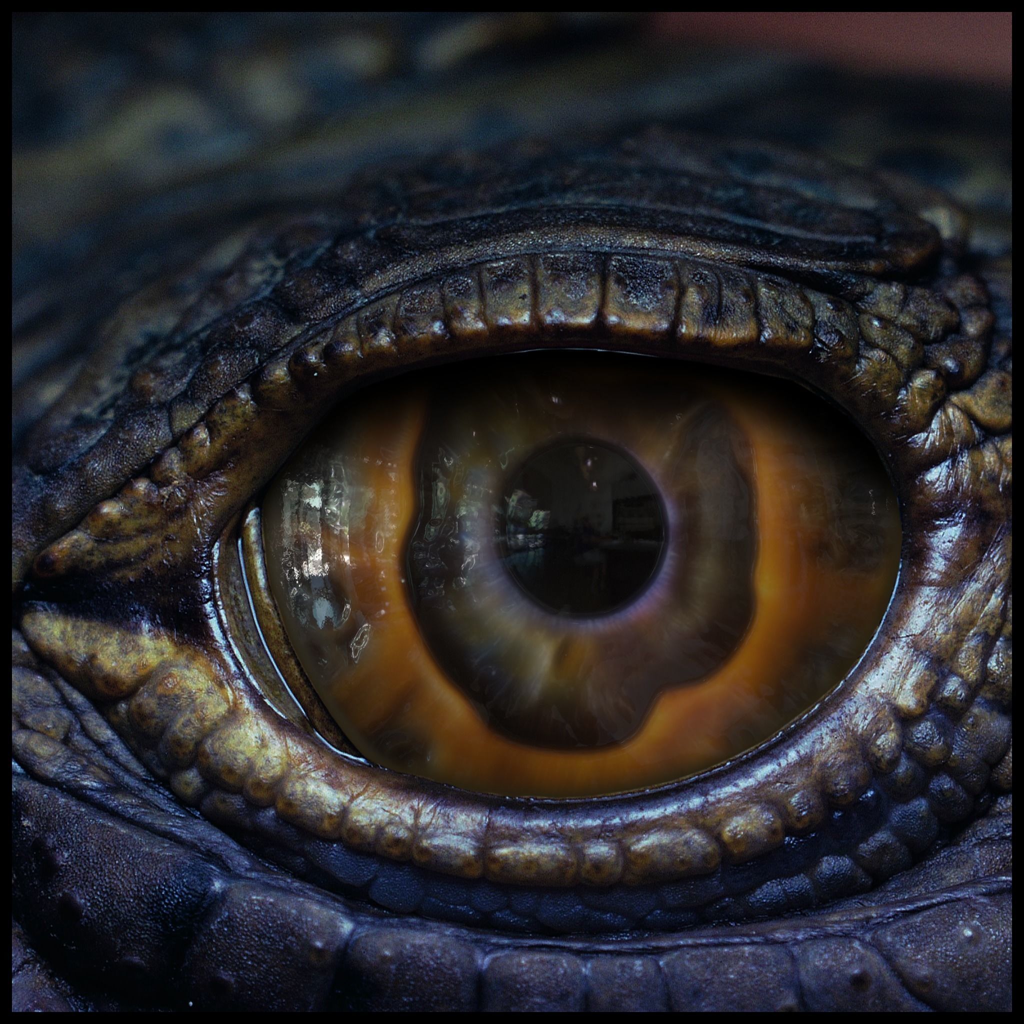Creature Eyes Vol 10 - PBR Texture_14