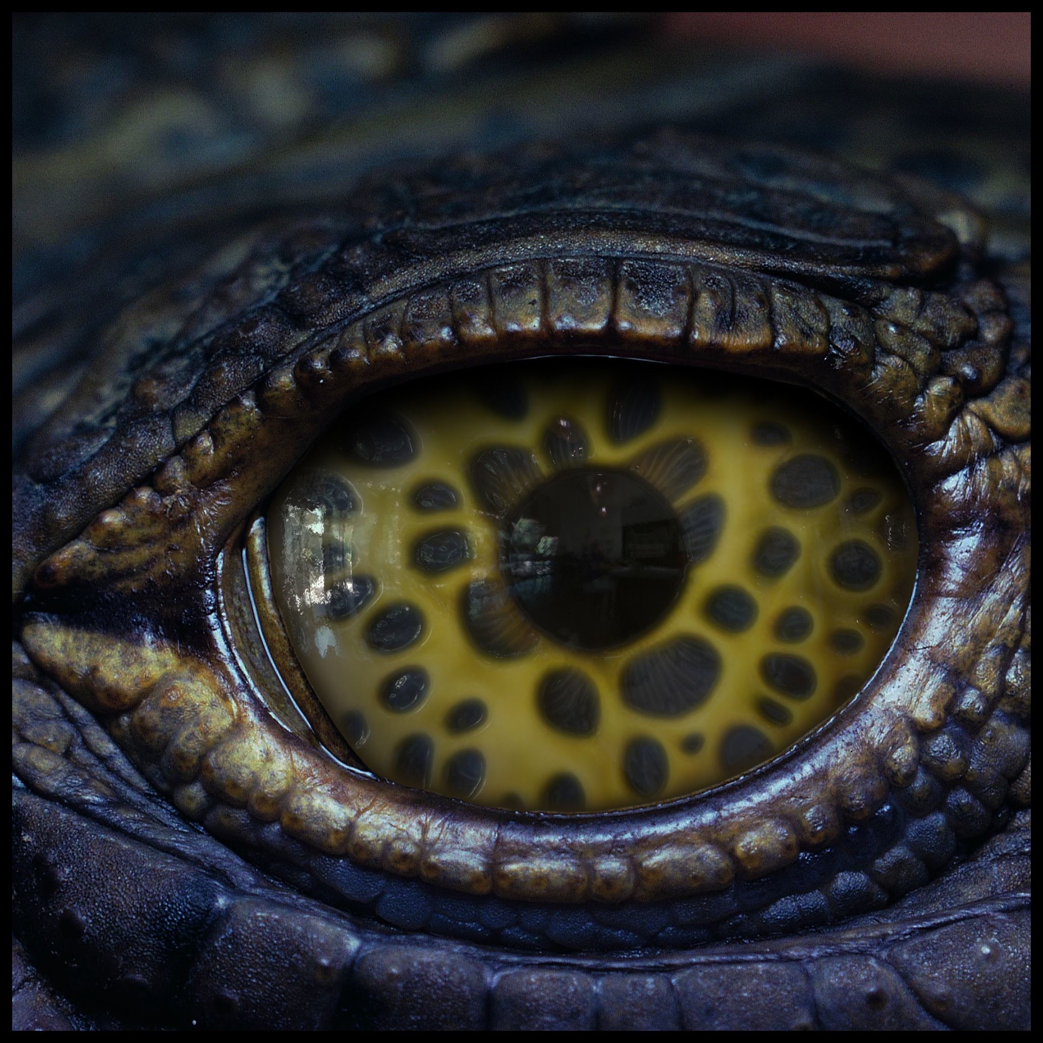 Creature Eyes Vol 10 - PBR Texture_10