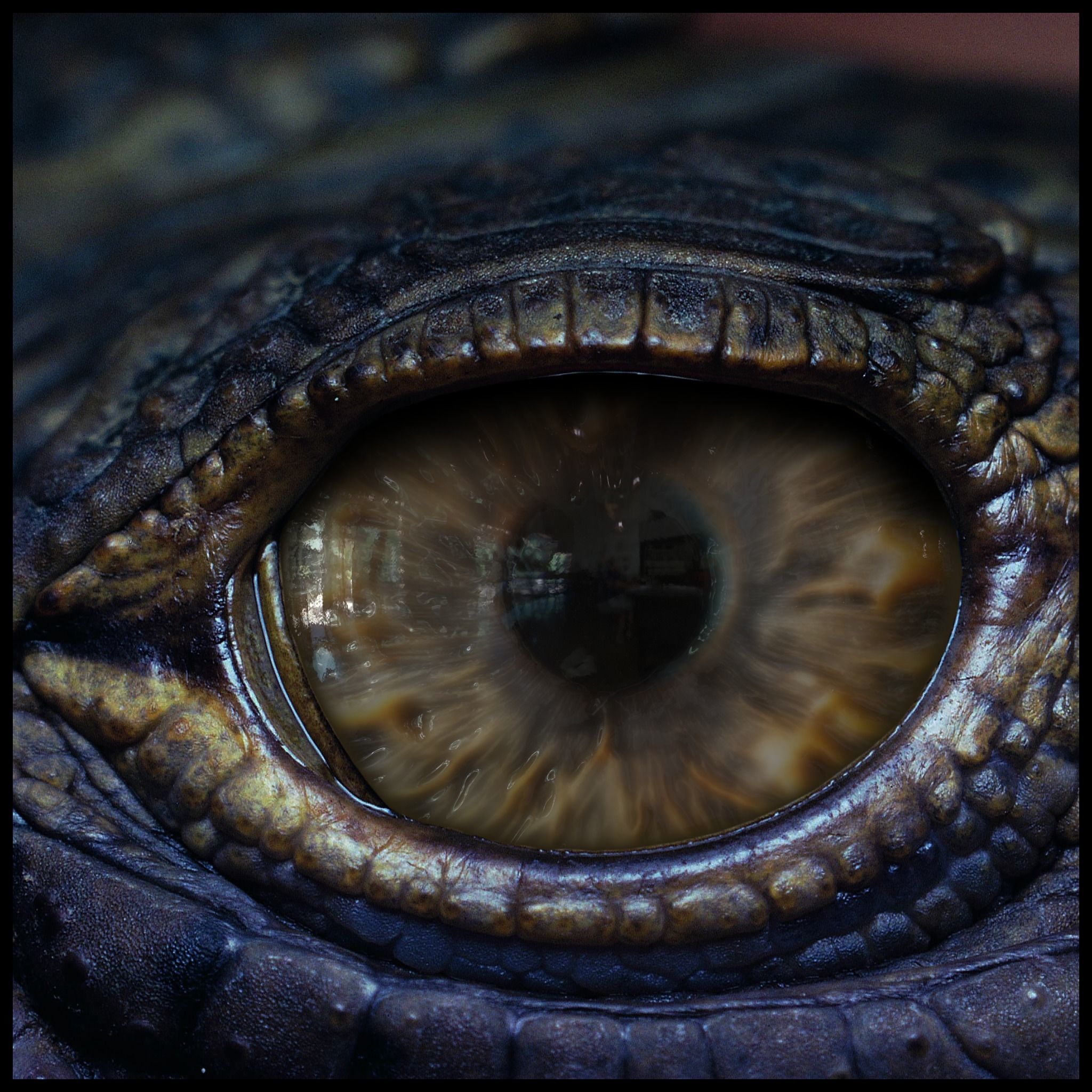 Creature Eyes Vol 10 - PBR Texture_12