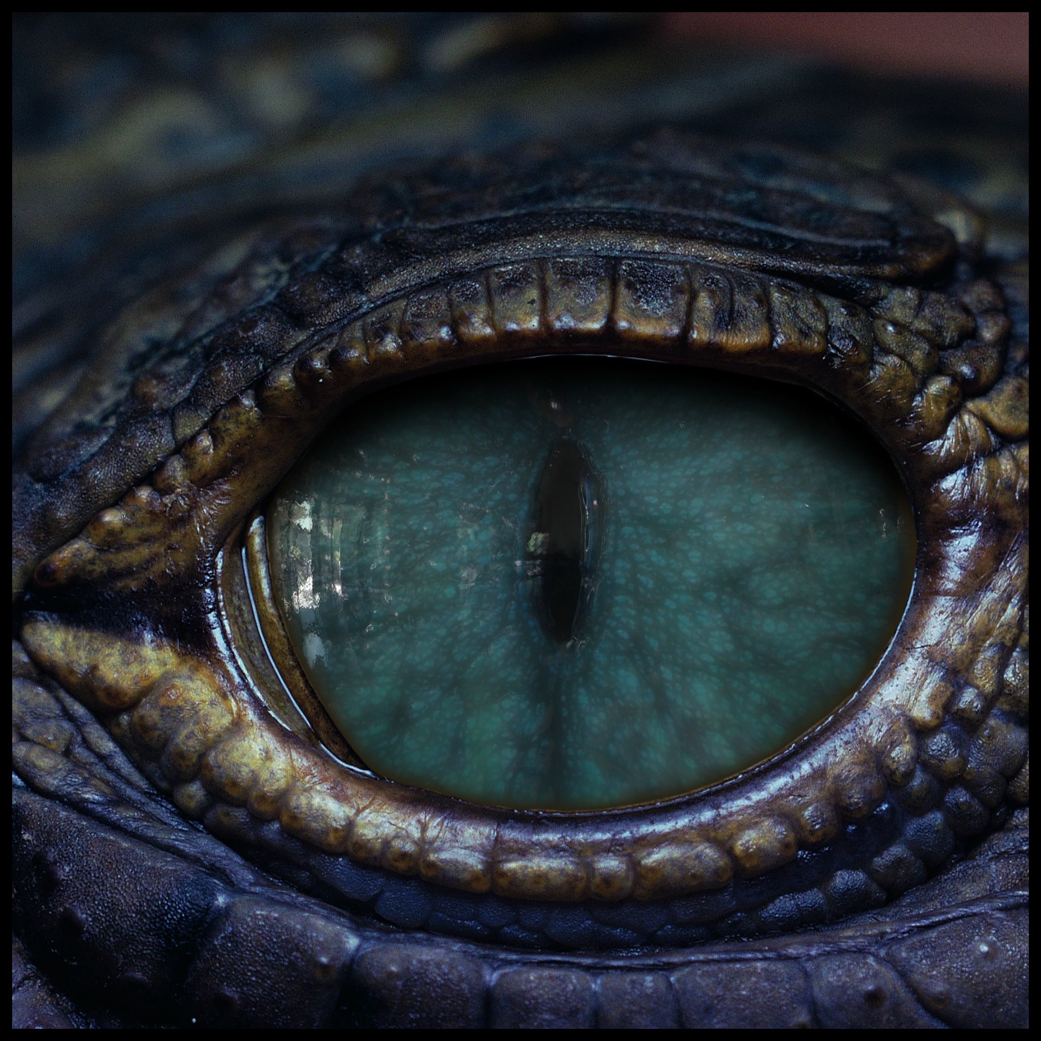 Creature Eyes Vol 10 - PBR Texture_11