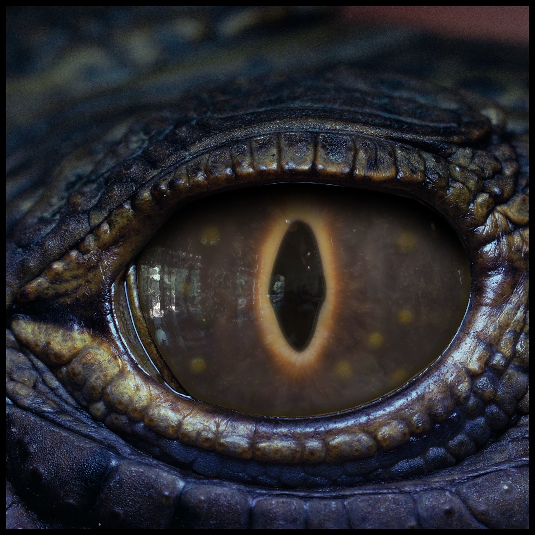 Creature Eyes Vol 10 - PBR Texture_9