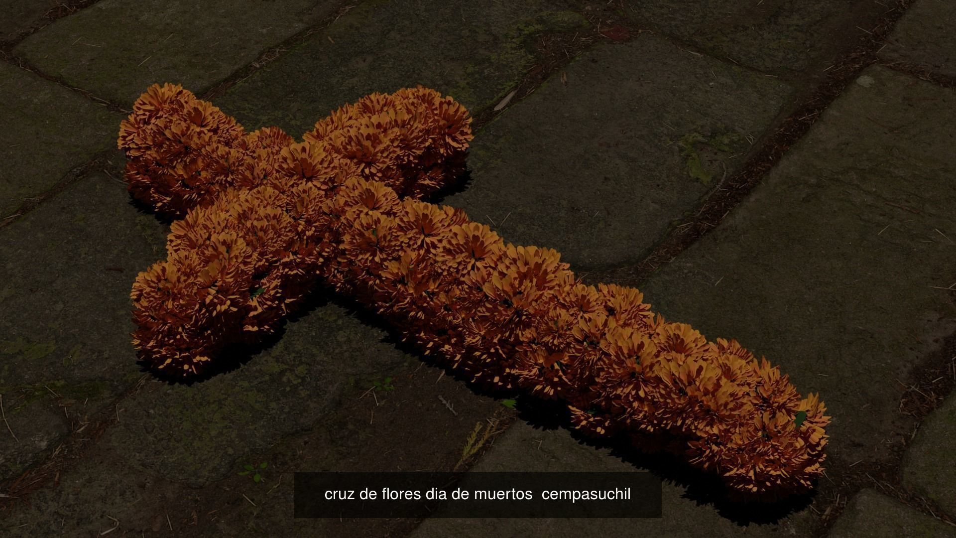 Altar dia de muertos collection  _10