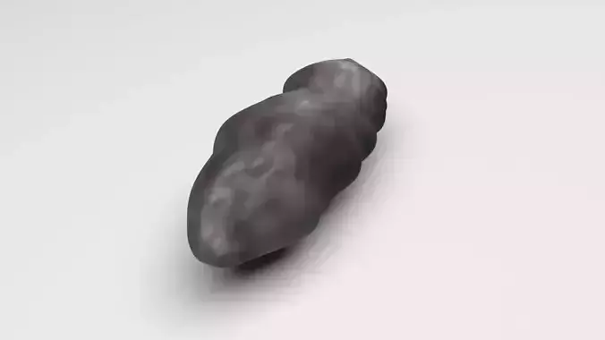 Raw Black Rice Piece