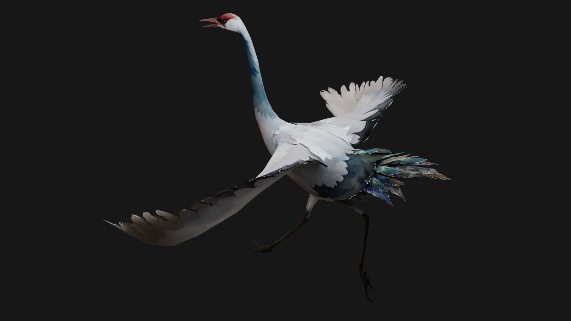 Crane Bird A5 3D model_5