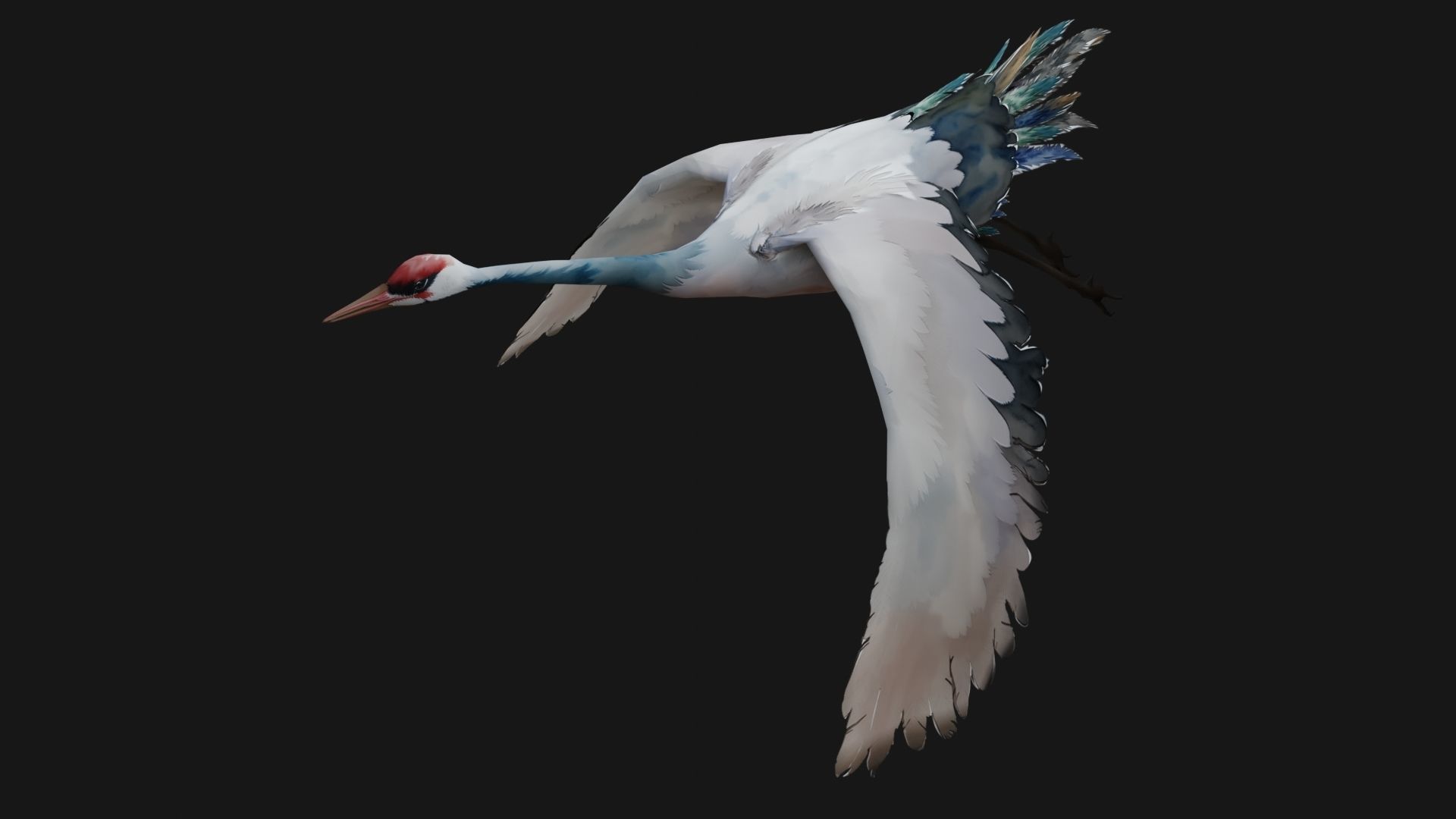 Crane Bird A5 3D model_4