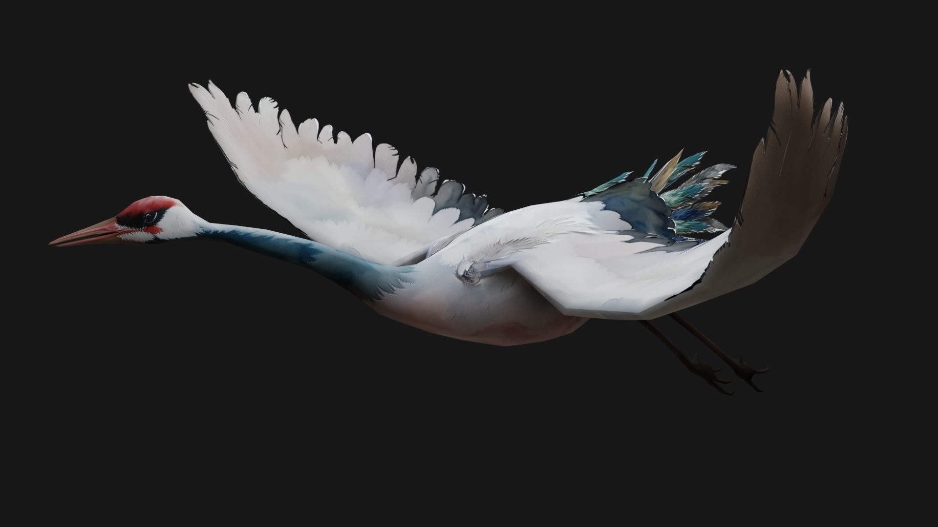 Crane Bird A5 3D model_2