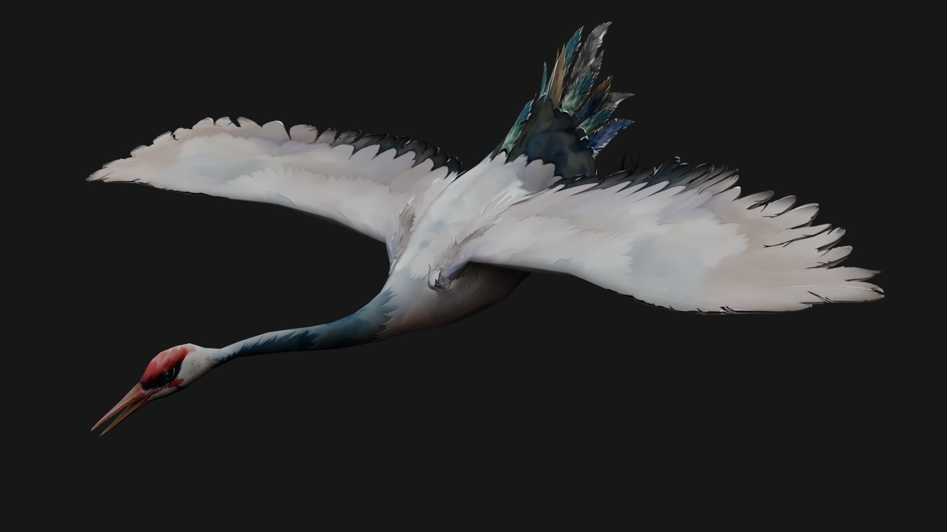 Crane Bird A5 3D model_3