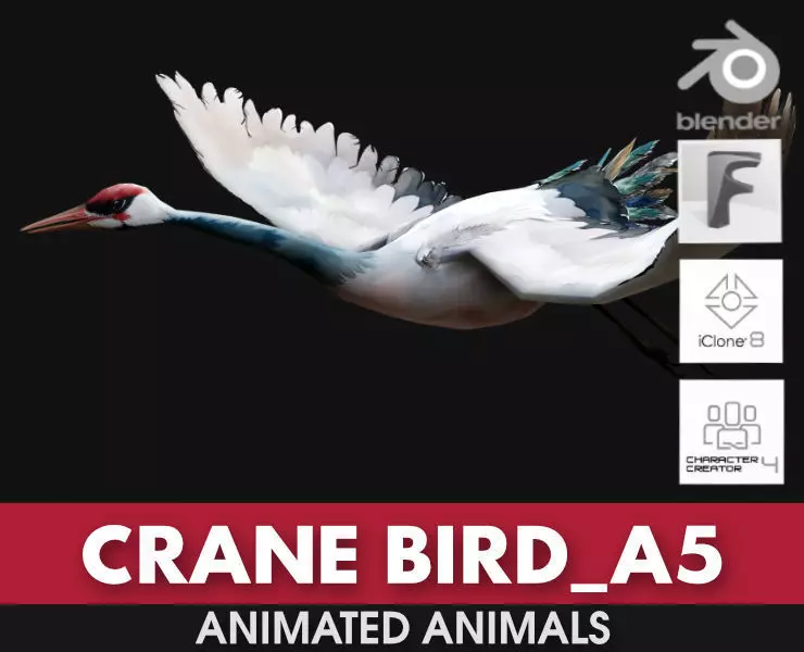 Crane Bird A5 3D model_0