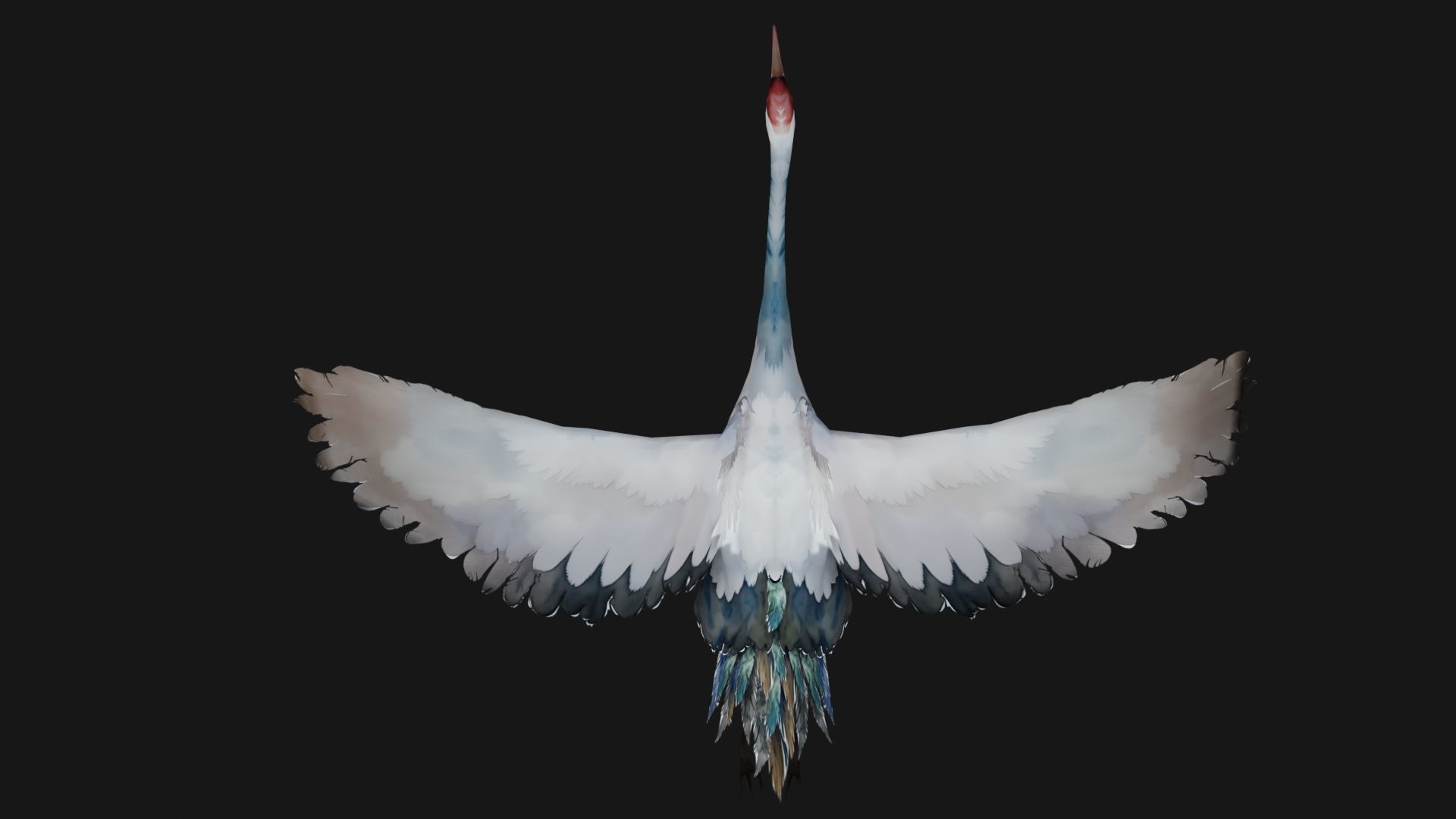 Crane Bird A5 3D model_6