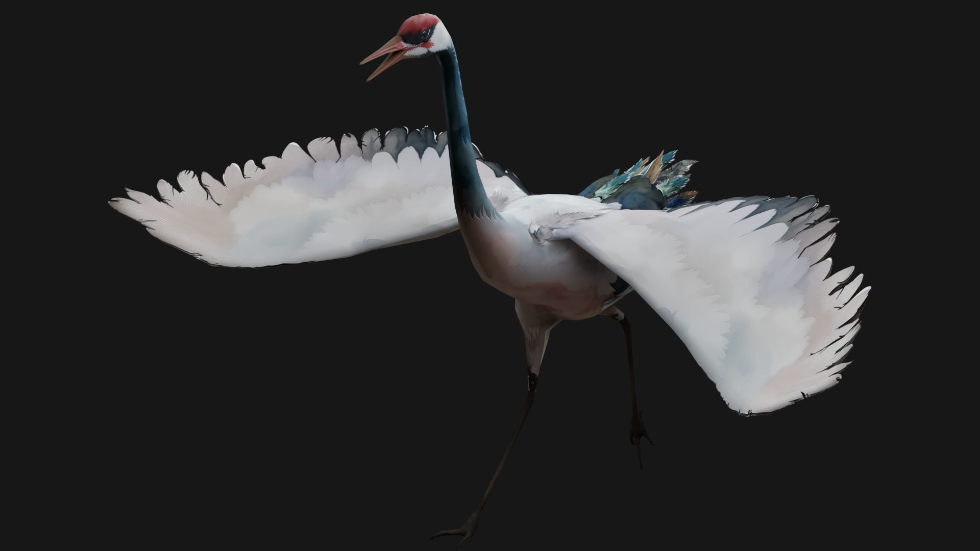 Crane Bird A5 3D model_9