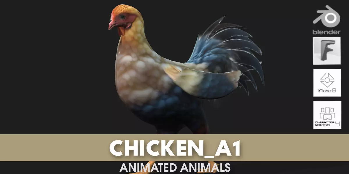 Chicken A1 3D model_0