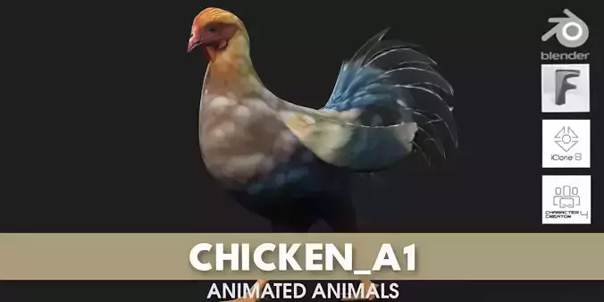 Chicken A1 3D model