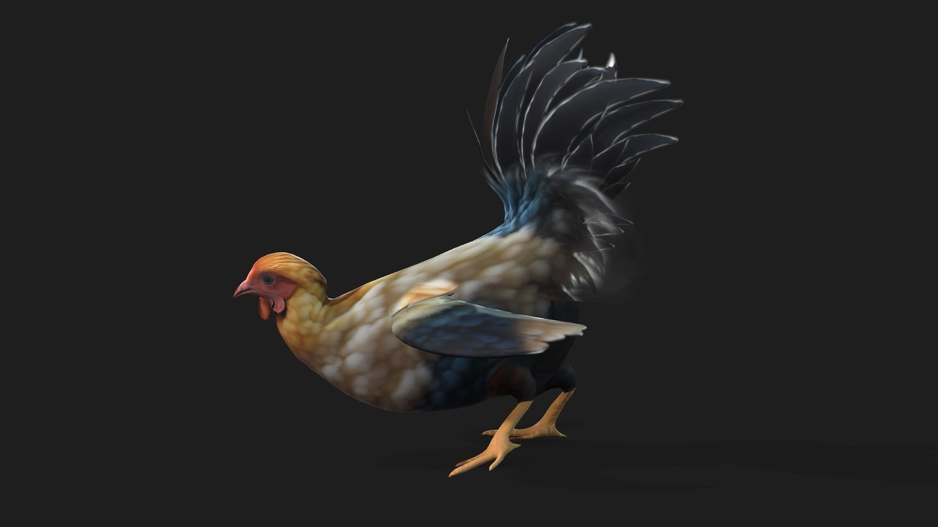 Chicken A1 3D model_2