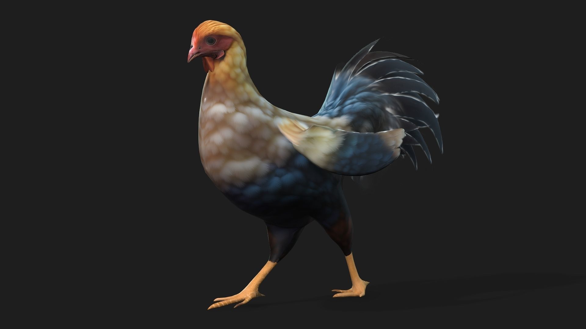 Chicken A1 3D model_5