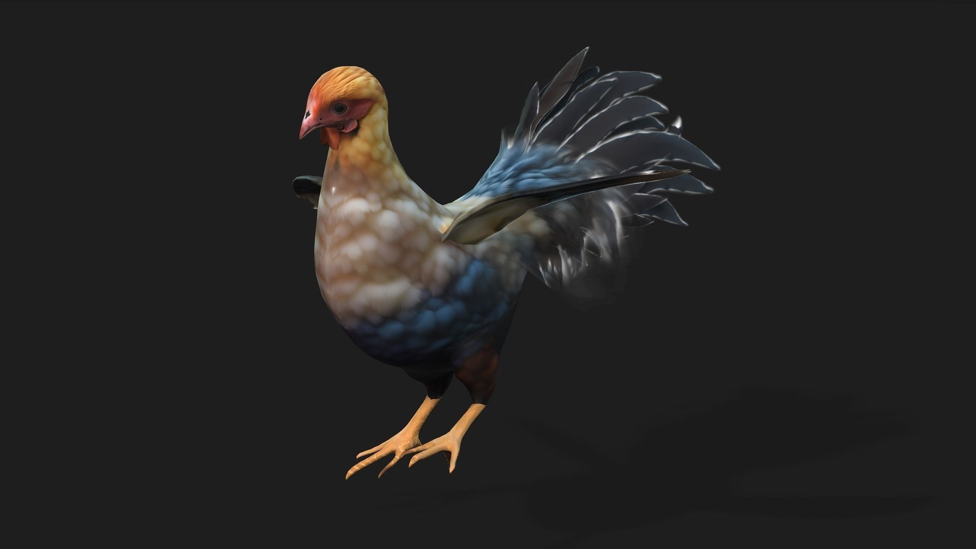 Chicken A1 3D model_3