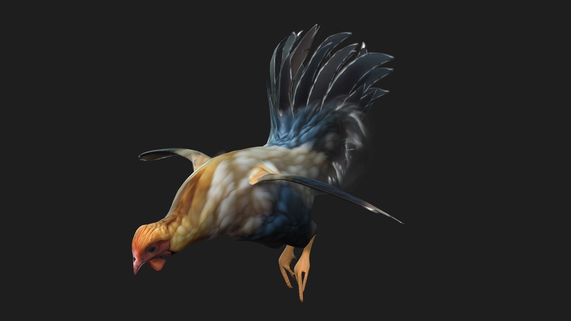Chicken A1 3D model_6