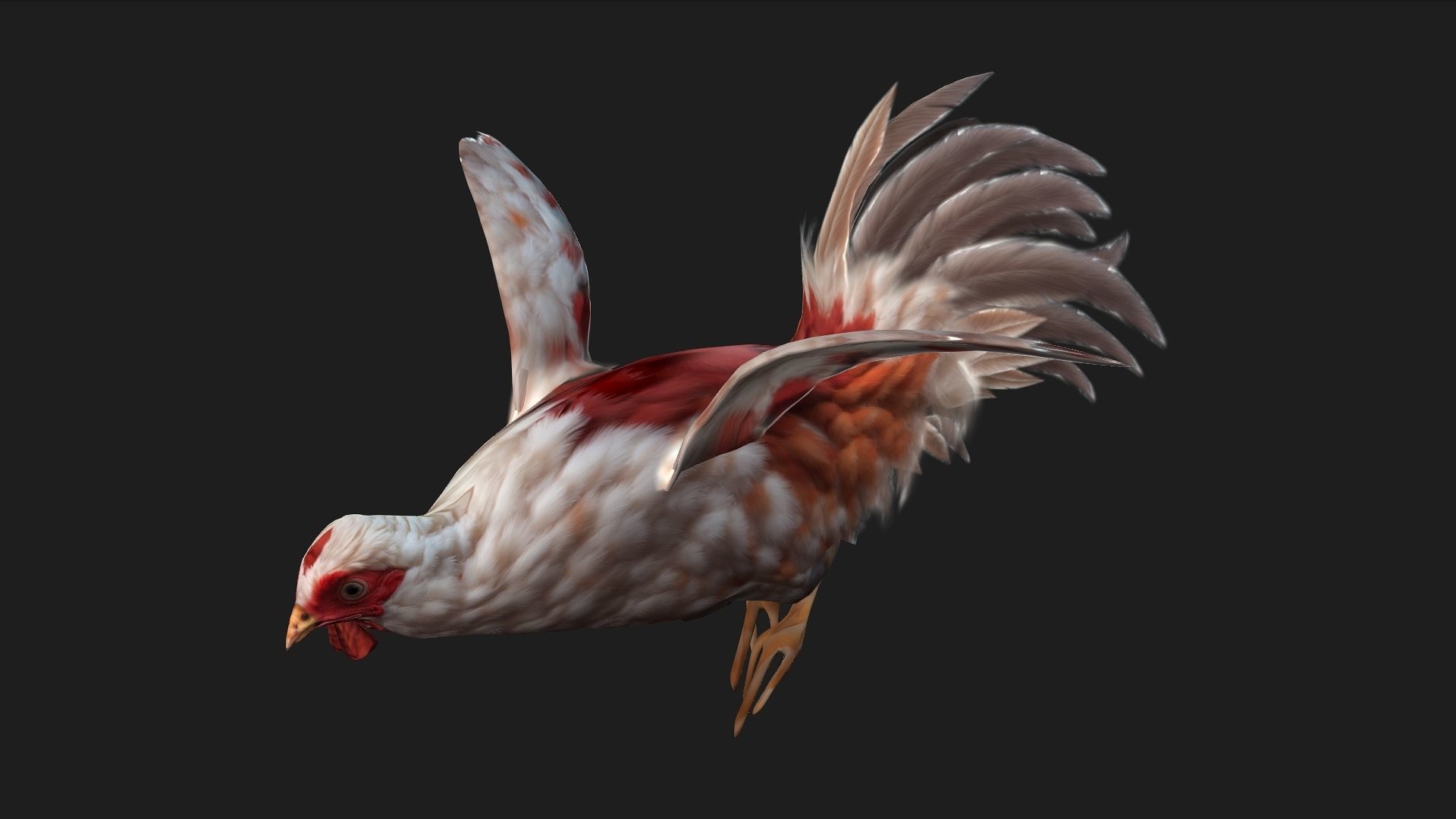 Chicken A2 3D model_6