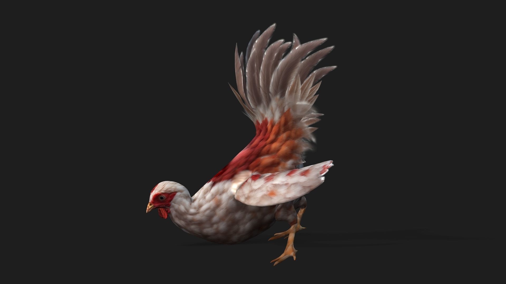 Chicken A2 3D model_2