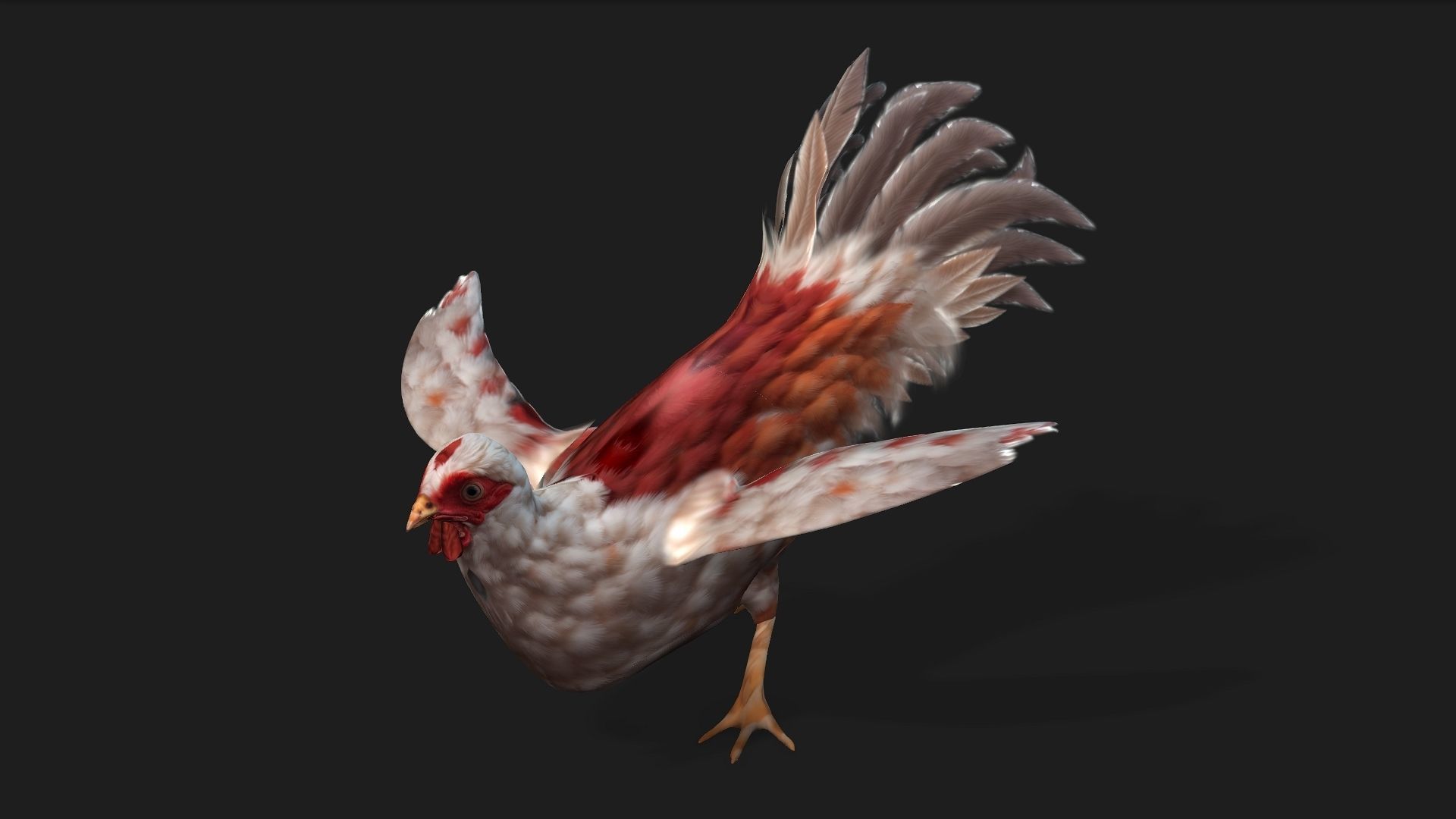 Chicken A2 3D model_3