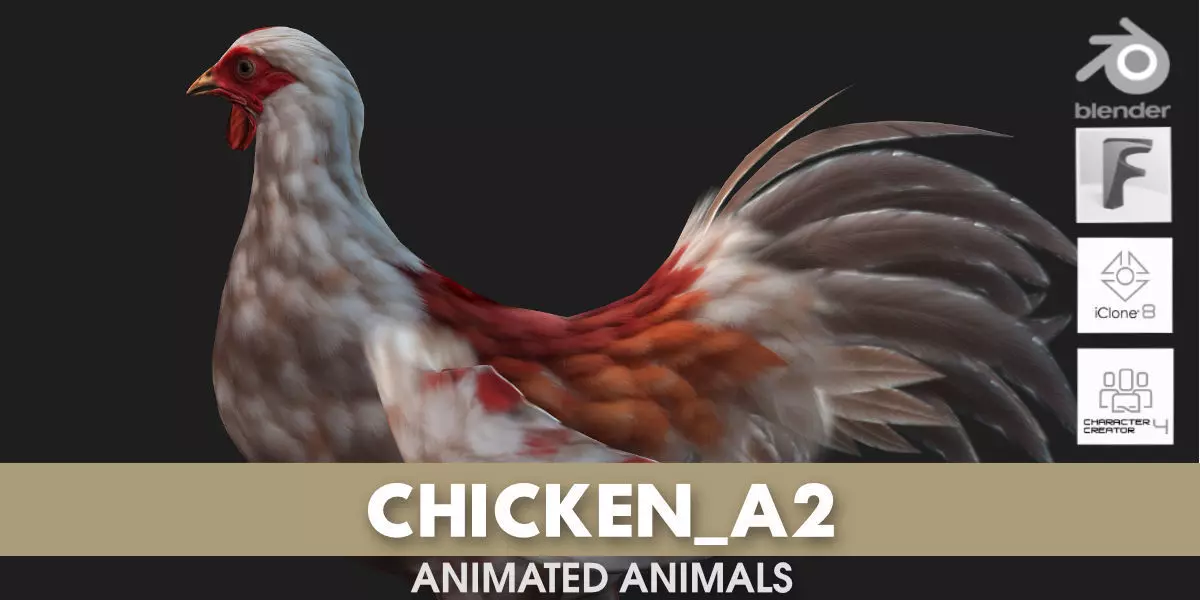 Chicken A2 3D model_0