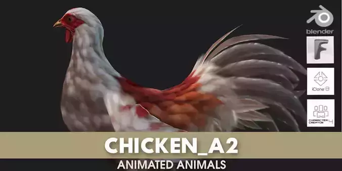 Chicken A2