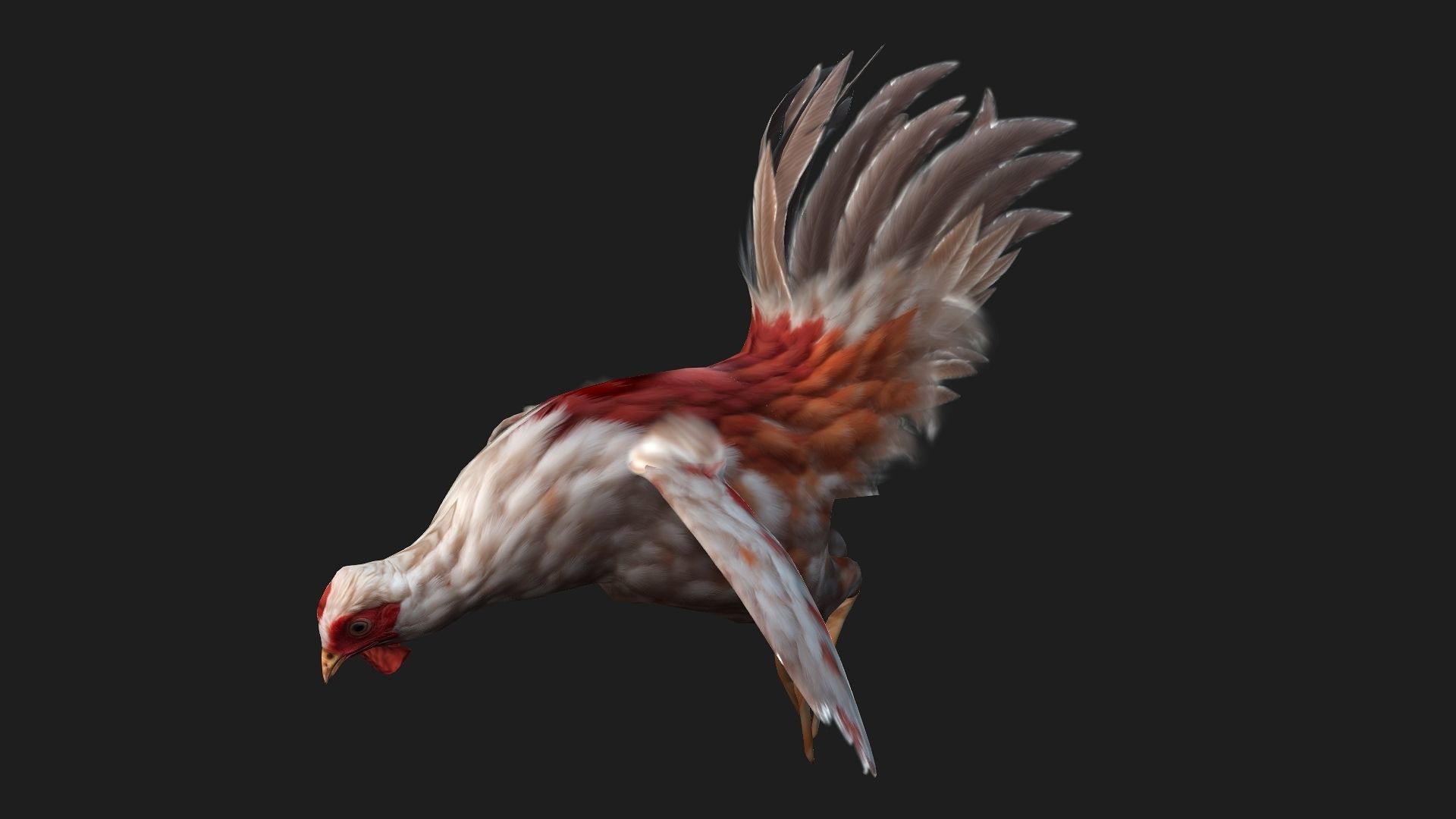 Chicken A2 3D model_5
