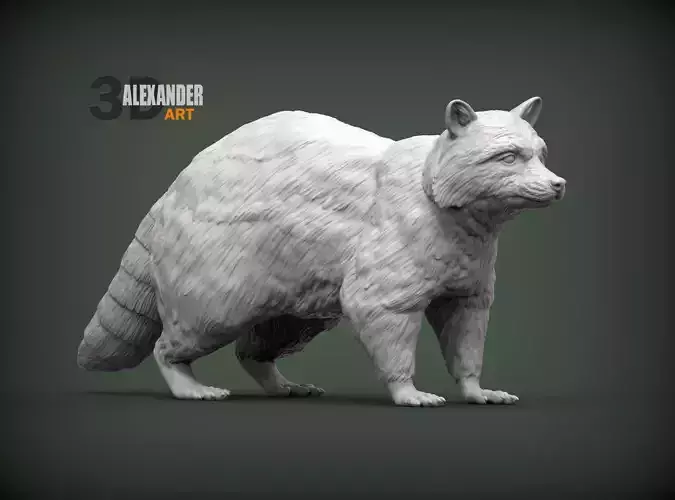 Raccoon 3D print model