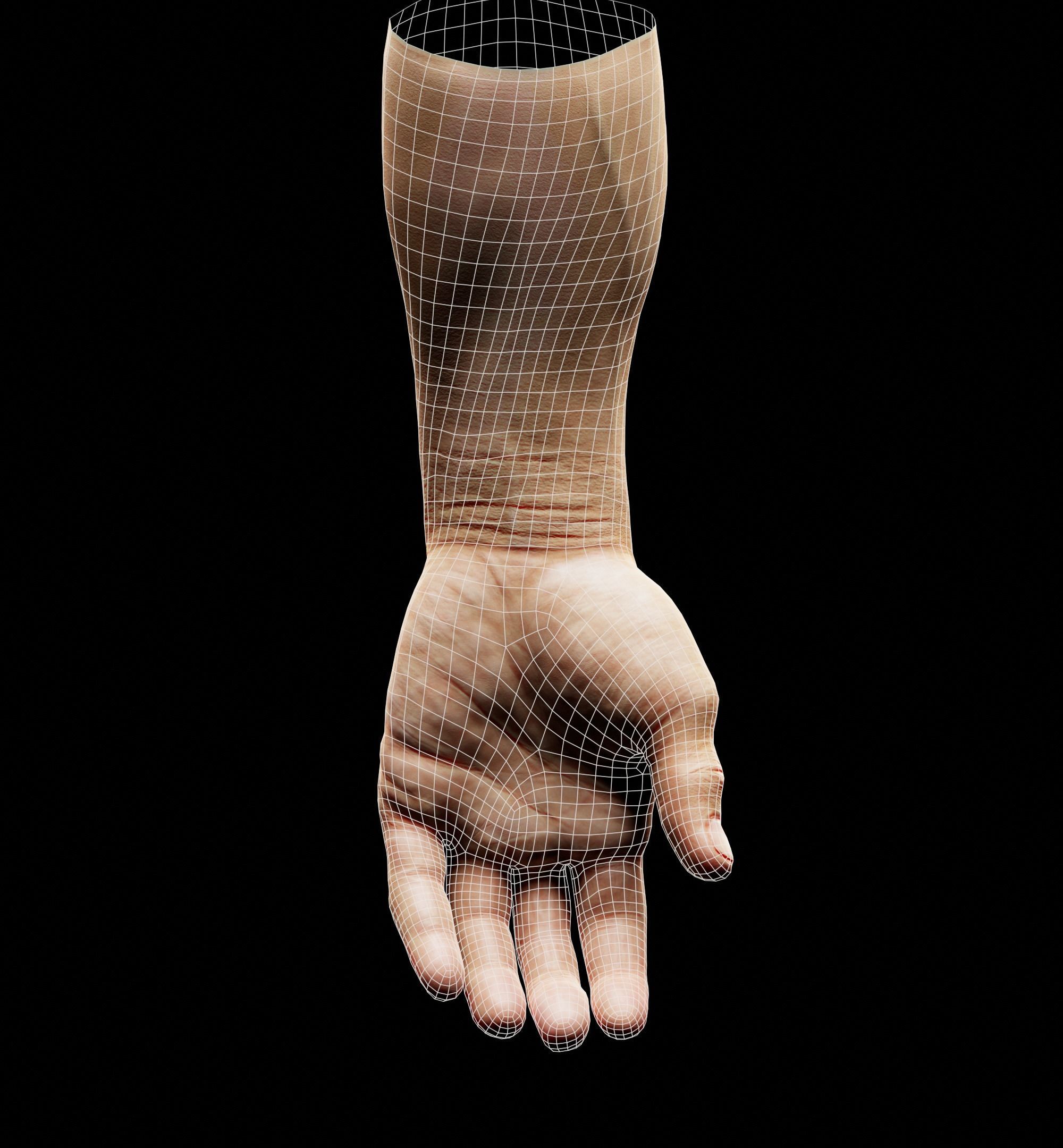 Human Hand and Assault Rifle  Low-poly 3D model_19