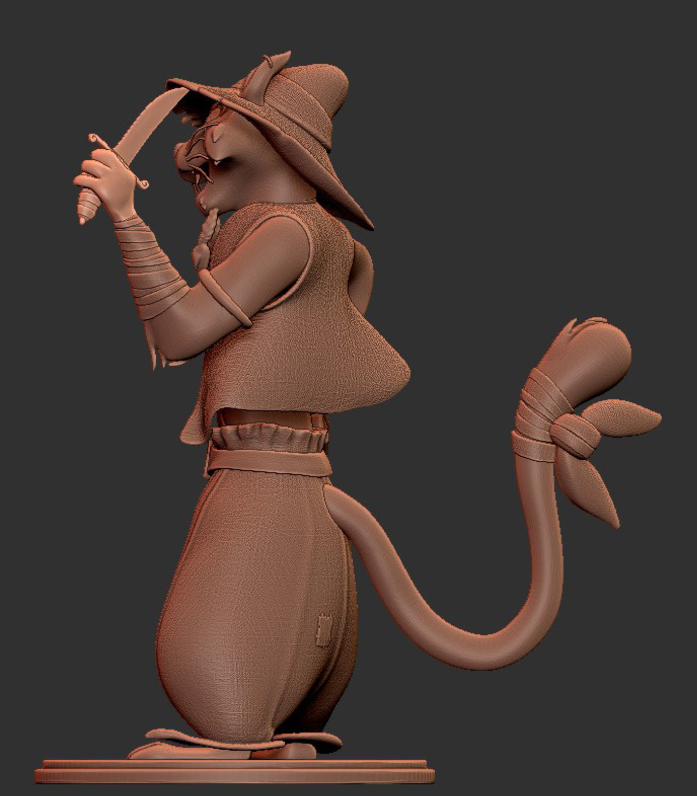 Pirate Cat for printing Free 3D print model_11