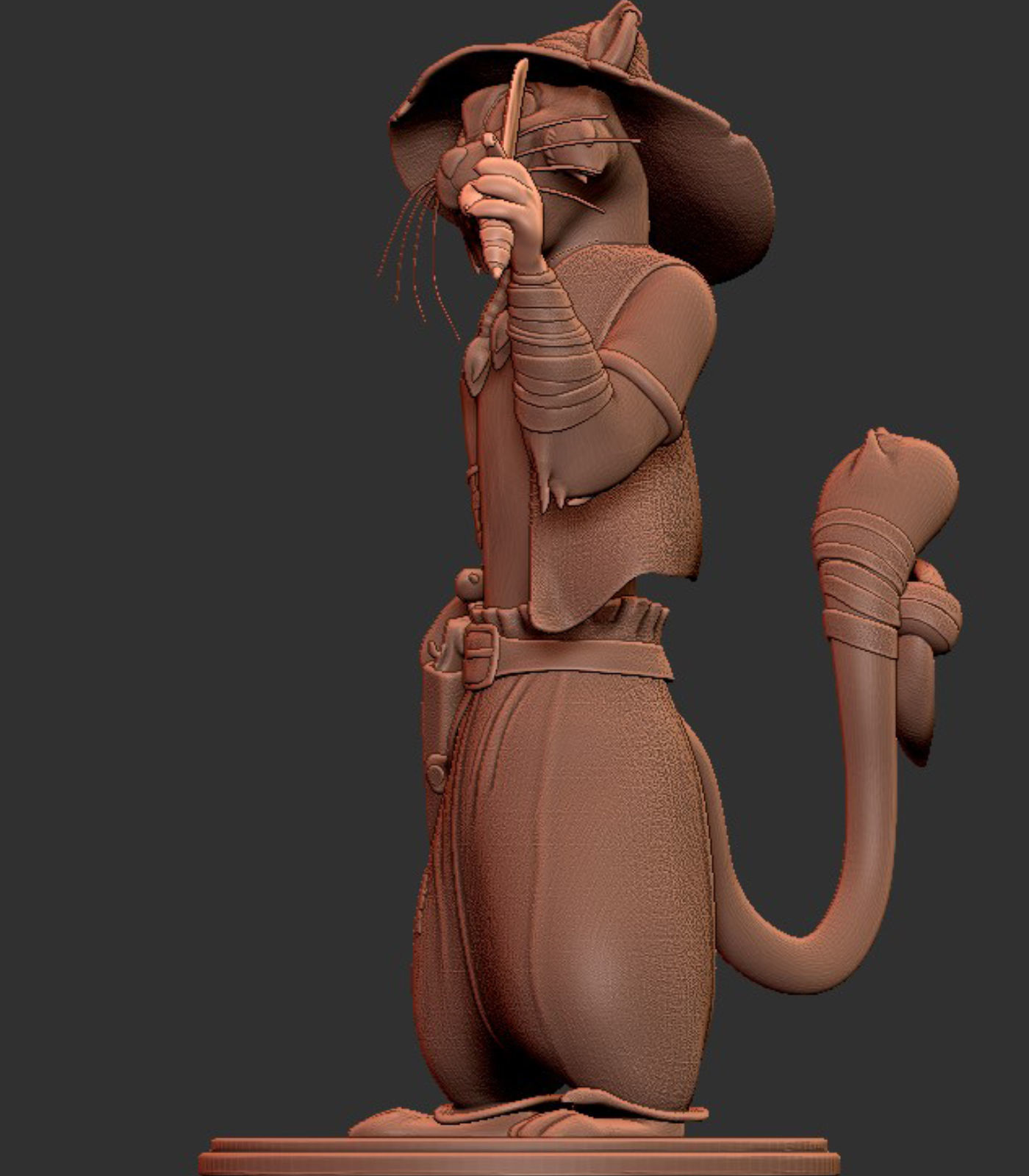 Pirate Cat for printing Free 3D print model_12
