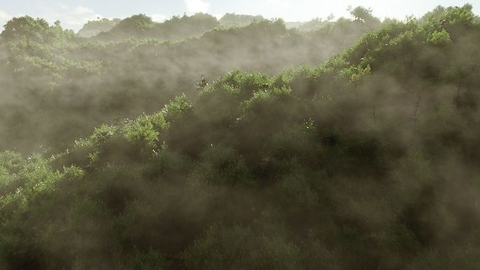 Forest 3D model