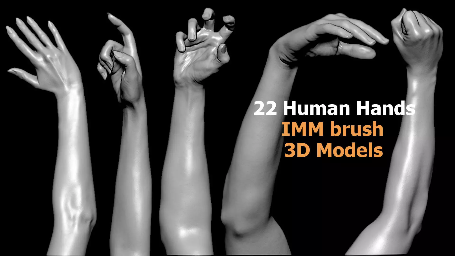 22 Hand Male And Female High Detail IMM 3D model
