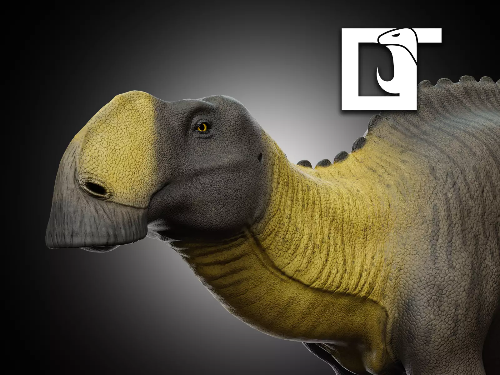 Gryposaurus notabilis Low-poly 3D model_0