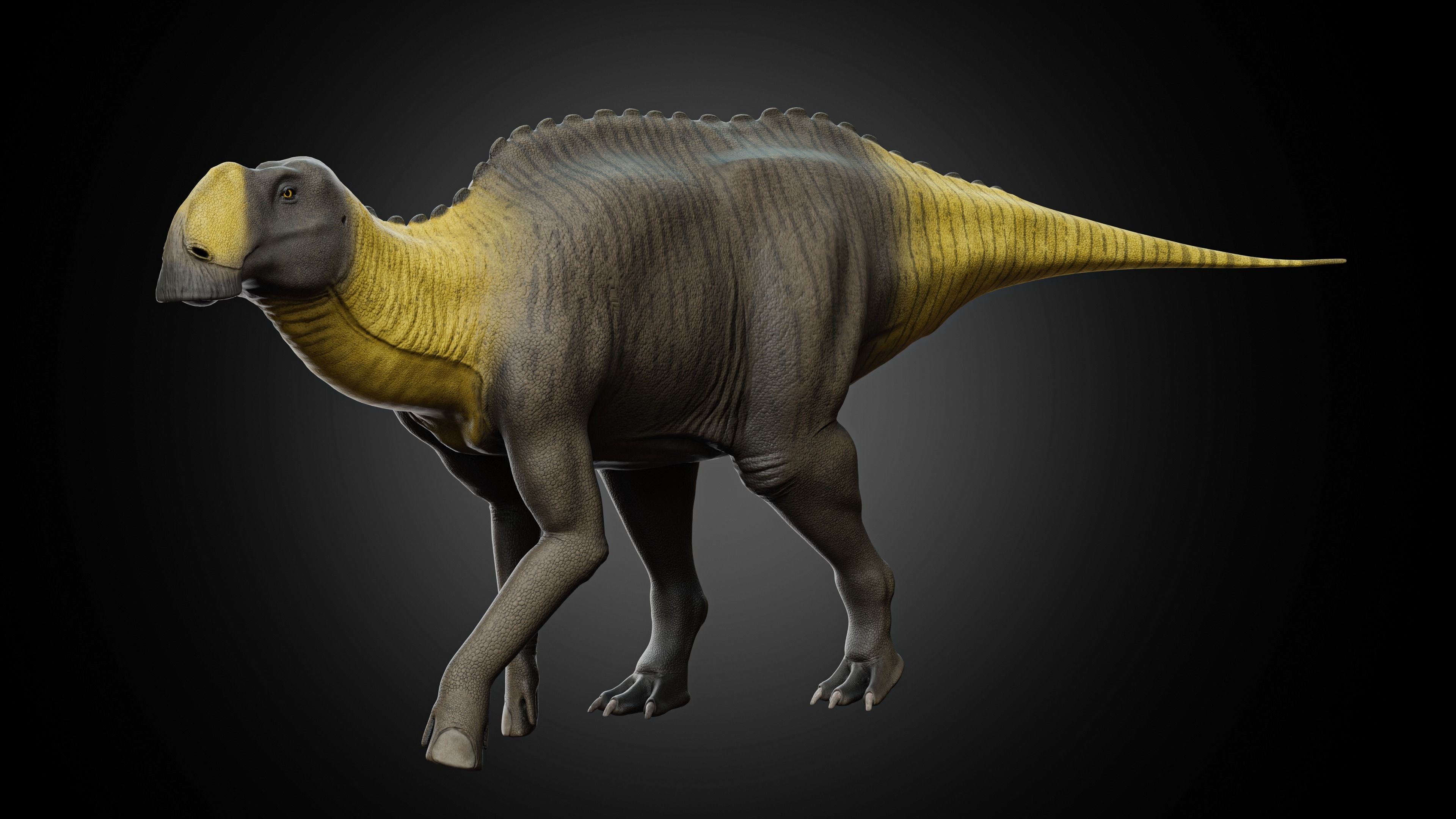 Gryposaurus notabilis Low-poly 3D model_1